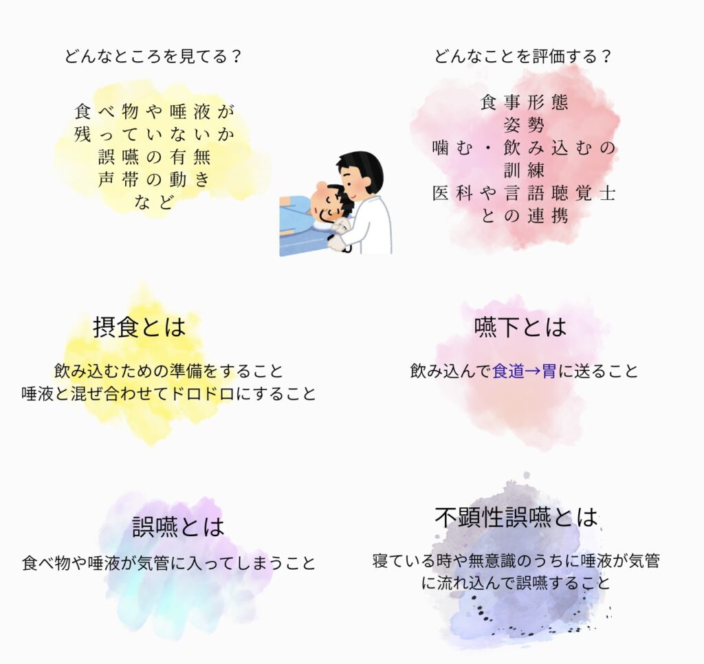 嚥下内視鏡検査（VE）とは
鼻から内視鏡を挿入し、飲食物を飲み込む際の咽頭や喉頭の動きを直接的に観察する方法です。
どんなところを見てる？
食べ物や唾液が残っていないか
誤嚥の有無
声帯の動き
など
どんなことを評価する？
食事形態
姿勢
噛む・飲み込むの
訓練
医科や言語聴覚士
との連携
摂食とは
飲み込むための準備をすること
唾液と混ぜ合わせてドロドロにすること
嚥下とは
飲み込んで食道→胃に送ること
誤嚥とは
食べ物や唾液が気管に入ってしまうこと
不顕性誤嚥とは
寝ている時や無意識のうちに唾液が気管に流れ込んで誤嚥すること